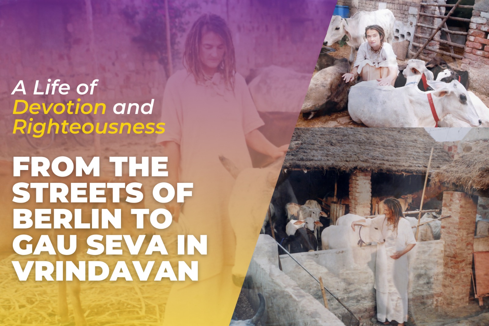 gau-seva-in-vrindavan