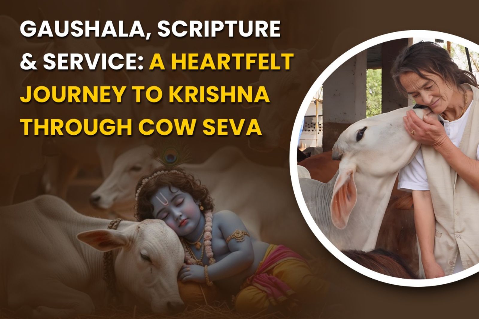 cow-seva-is-krishna-seva