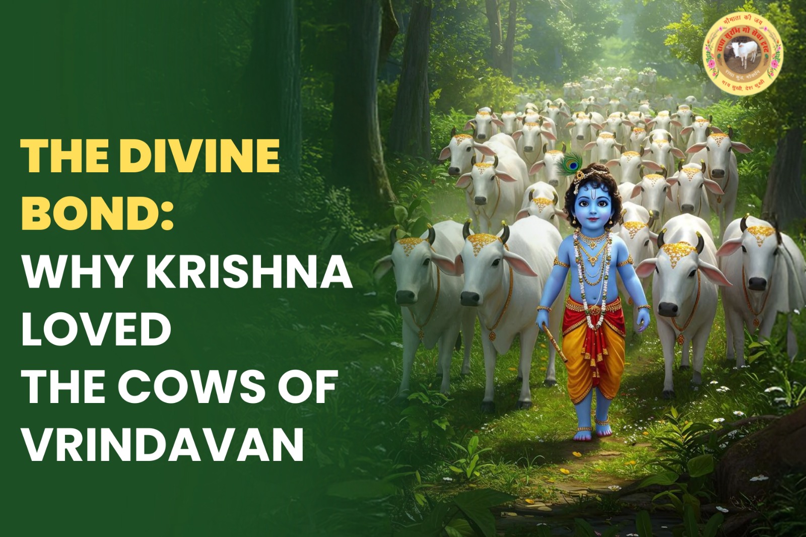 gaushala  in vrindavan