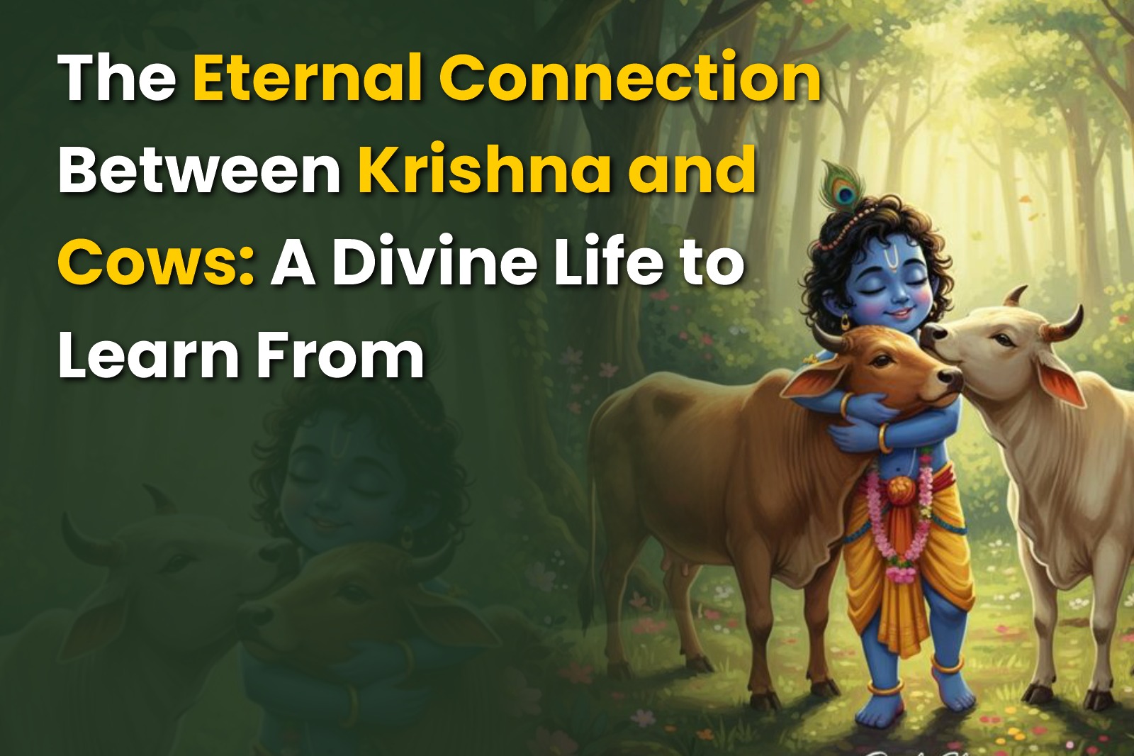 radha-surabhi-gaushala-for-gauseva